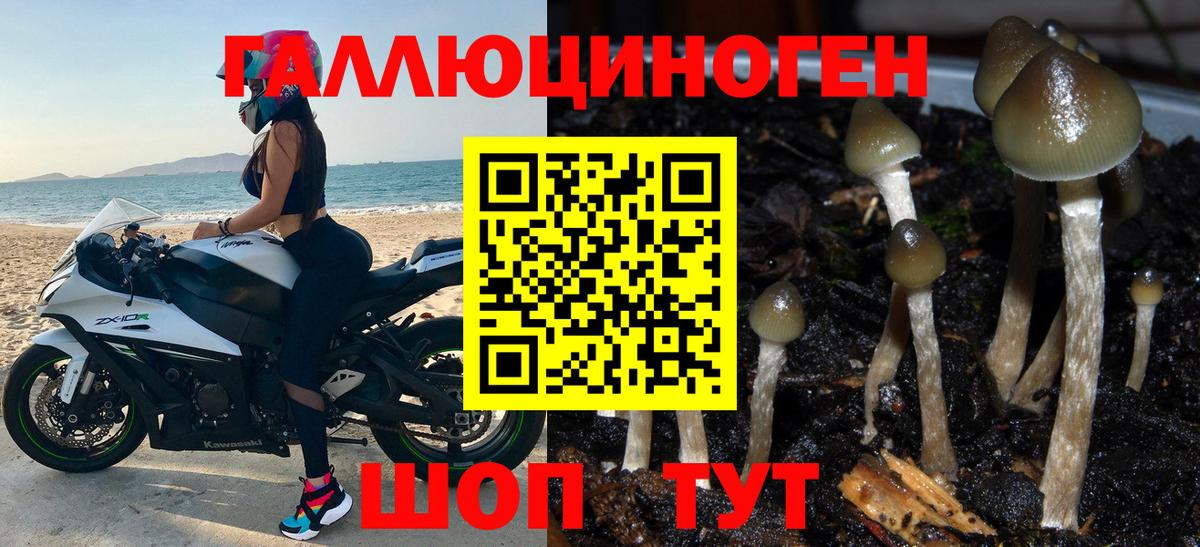 Псилоцибиновые грибы мухоморы  Вход с VPN  Муром 